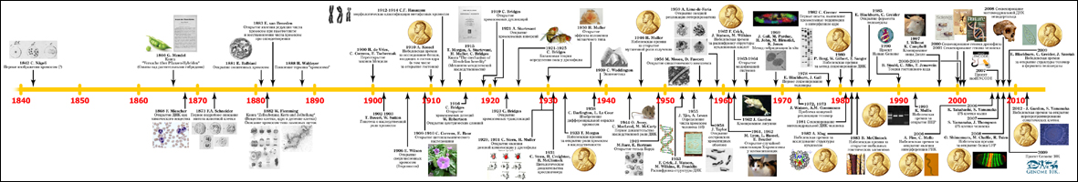 100-let-hromosomam_small.jpg